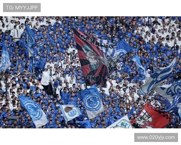 39岁哲科自荐加盟沙尔克希望助球队重返德甲舞台